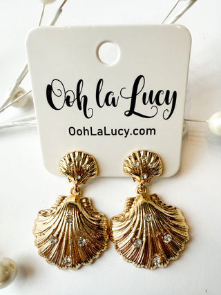 Earrings 2146