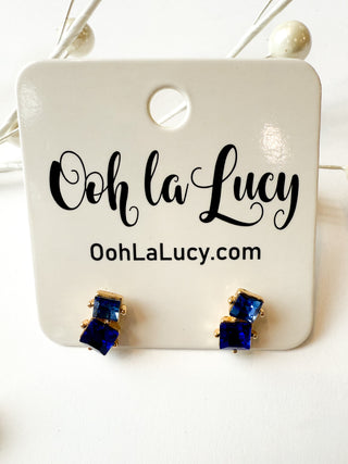 Earrings 2095