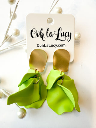 Earrings 2068